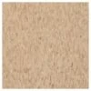 Armstrong Flooring Imperial Texture 45-Piece Nougat Commercial VCT Tile