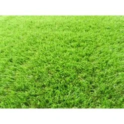 TrafficMaster 26 In. X 36 Ft. Artificial Grass Runner -FloorZone Savings 6fd097733d27915bfecdf8e697c09105 1800x1800