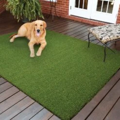 TrafficMaster Pet 3.75 Ft. X 9 Ft. Artificial Grass -FloorZone Savings cfd1ee506129012555a64e3f84e3c864 1800x1800